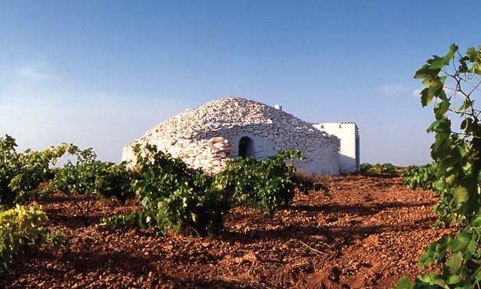 bombos-tomelloso.jpg