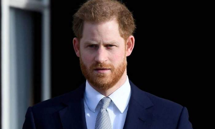 harry-firmas770.jpg