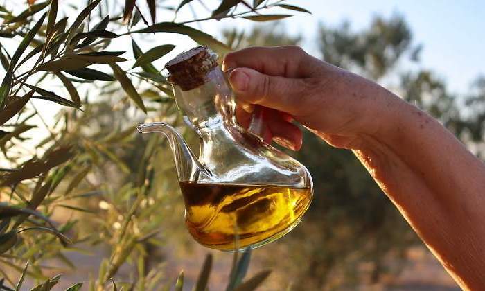 Aceite de oliva