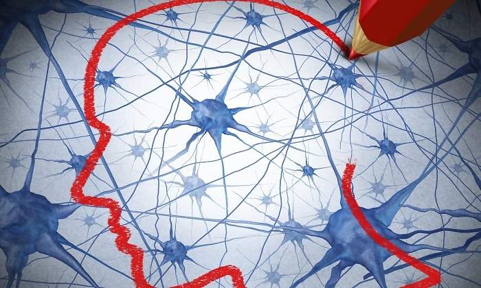 cerebro-neuronas-istock.jpg