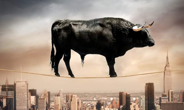 toro-wall-street.jpg