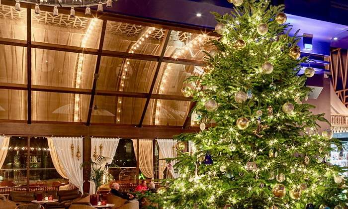 arbol-de-navidad-mas-caro.jpg