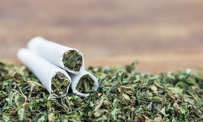 marihuana-dreamstime.jpg