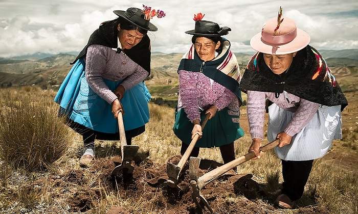 agricultores_minagri770x420.jpg