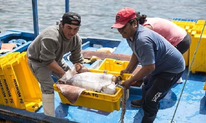 pesca.jpg