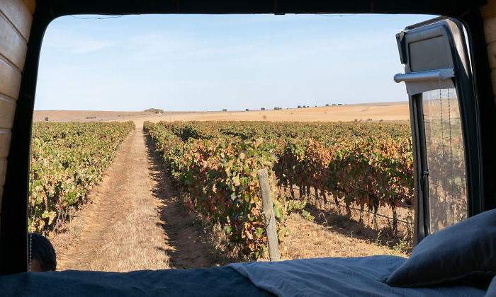autocaravana-vino-turismo-camper-1.jpg