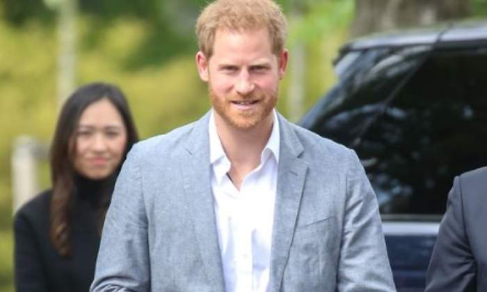 harry-trabajo-770.jpg