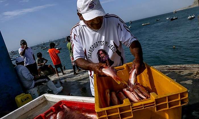 pesca_covid.jpg