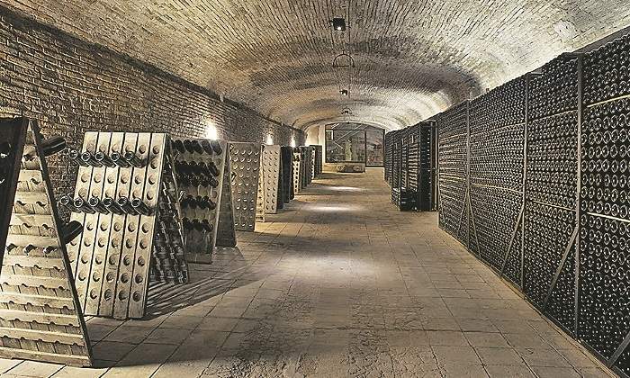 codorniu-bodega-especial-centenarias.jpg