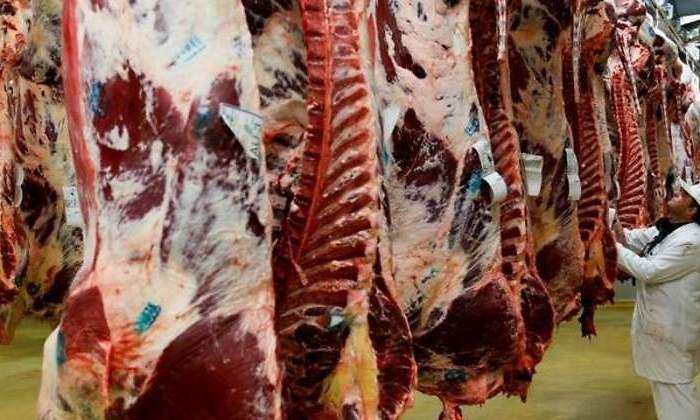 carne