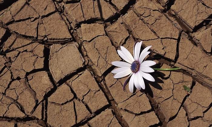 cambio-climatico-sequia-eE.jpg