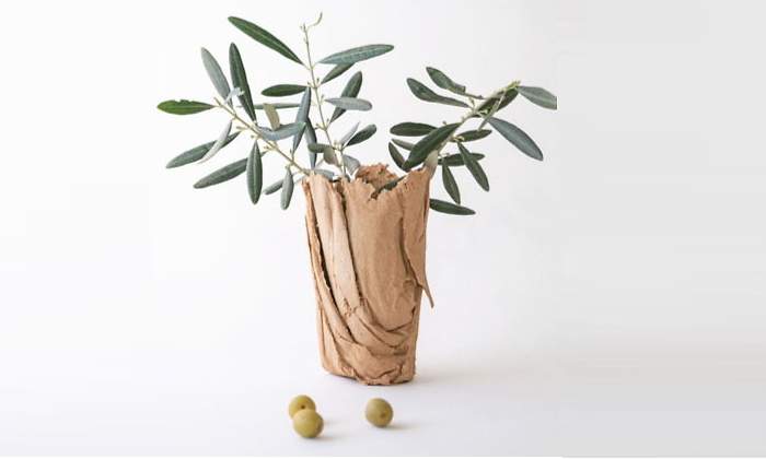 hueso-aceituna-1.jpg