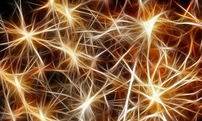 neuronas-pixabay.jpg