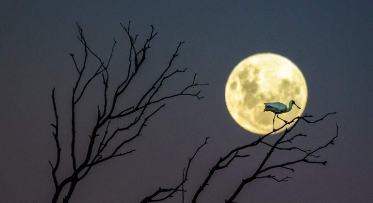 Un tenedor, una cuchara y la Luna