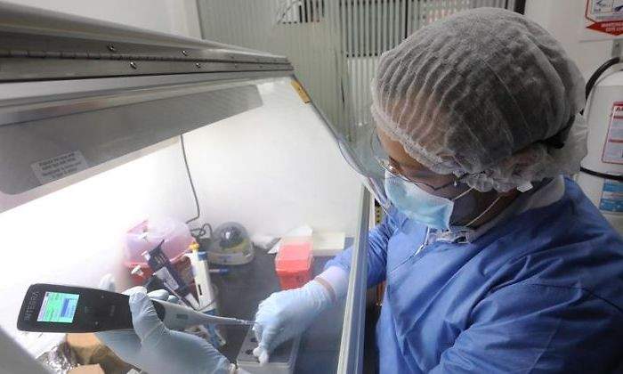 Coronavirus.jpg