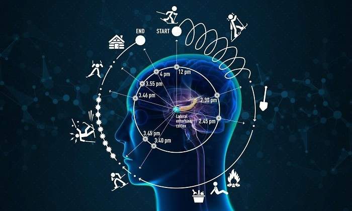 cerebro-tiempo-mente-ep.jpg