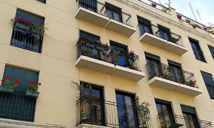 plantas-balcones.jpg