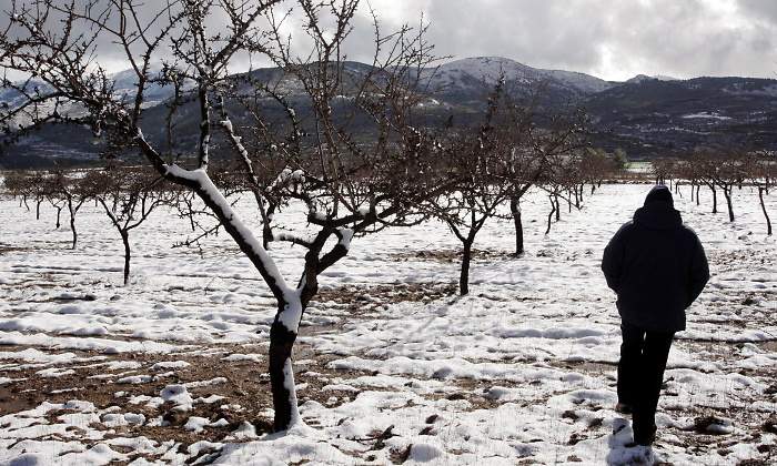 nieve-agricultura-cultivos-helados-reuters.jpg