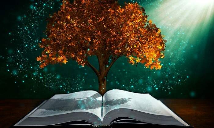 estudiar-dreamstime.jpg