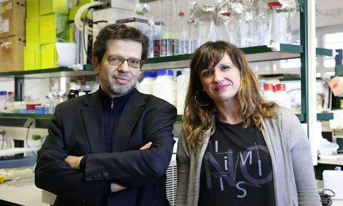 Mariano-Ruiz-Gayo_Nuria-del-Olmo_Farmacia-CEU-USP-defini.jpg