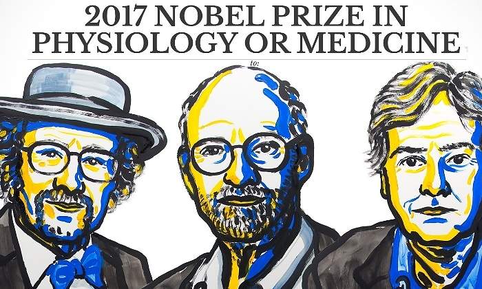 nobel-medicina-2017.jpg