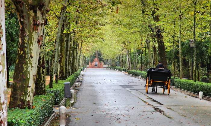 parque-maria-luisa.jpg