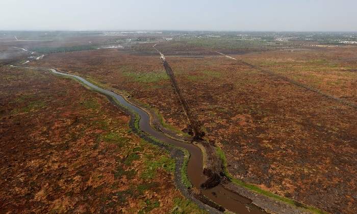 amazonas-deforestacion-incendios-reuters-770x420.jpg