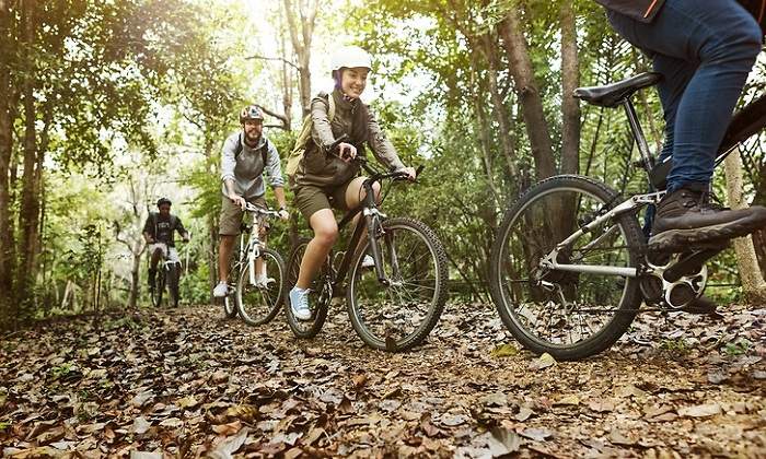 grupo-bici-1.jpg