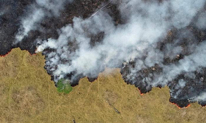 770-420-reuters-amazonas-deforestacion.jpg