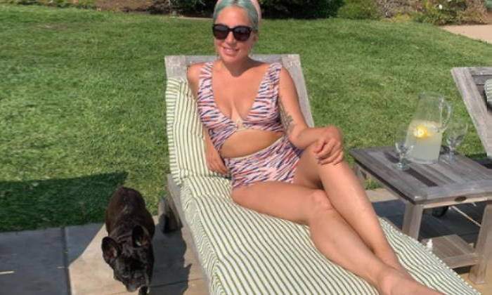 lady-gaga-perros-detienen-paseador-770.jpg