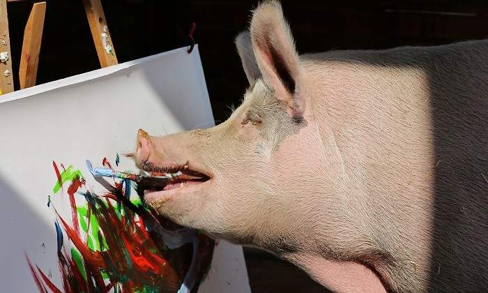 pigcasso-pinceles-efe.jpg