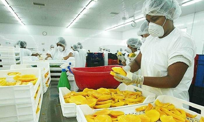 Envios-agropecuarios.jpg