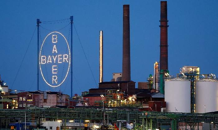 bayer.jpg