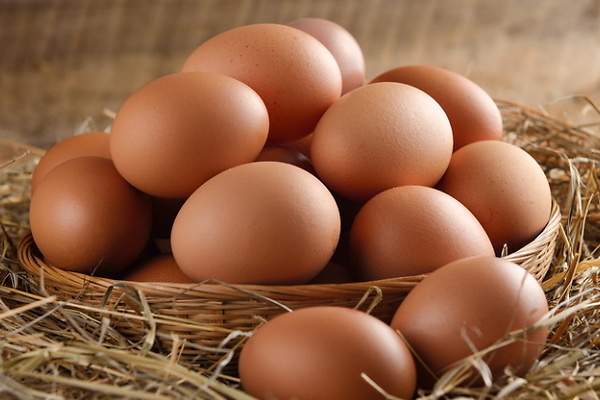600x400_Huevos