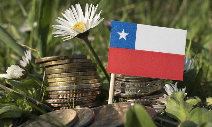 Una bandera de Chile entre hierba verde y una flor