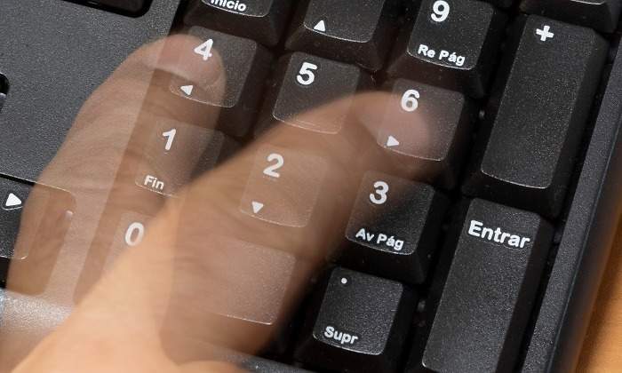 dedogordojpg.jpg