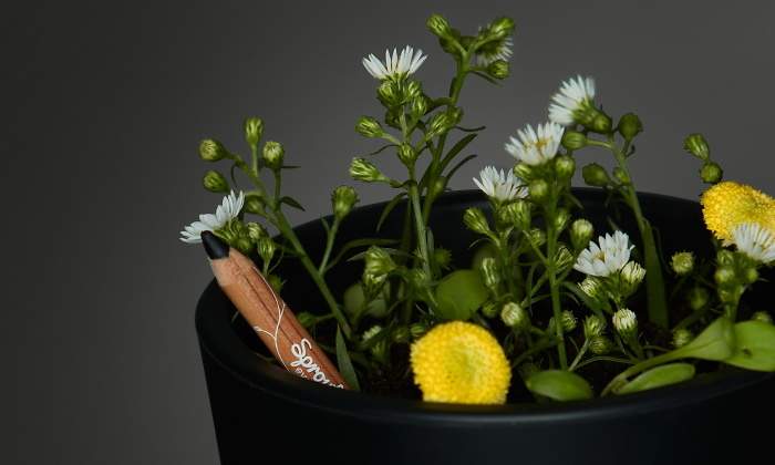 lapiz-ojos-sprout-maceta-flores.jpg