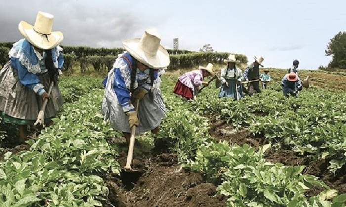 agroperu.jpg