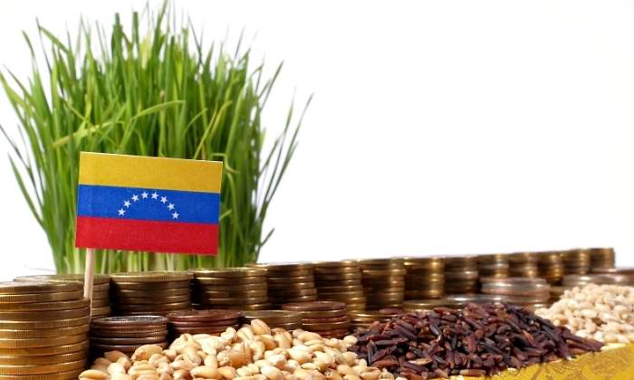 venezuela-alimentos-precios-dreamstime.jpg