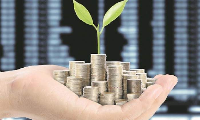 Dinero-floreciente-Istock-770-x-420.jpg