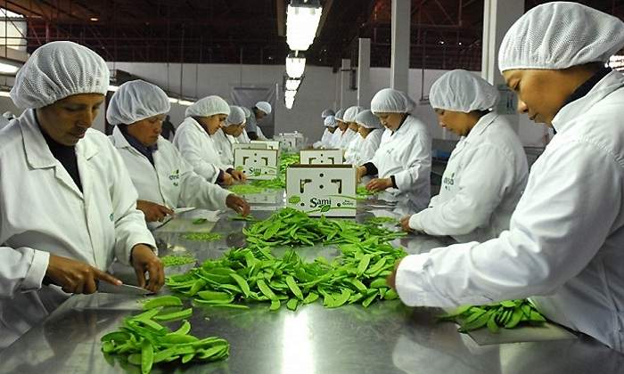 pymes770x420.jpg