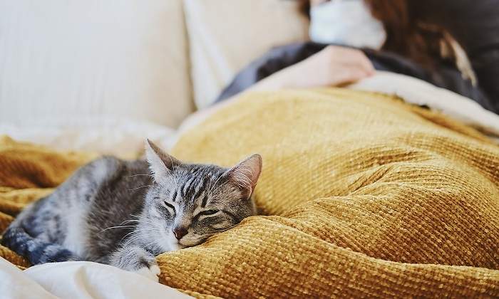 Una-persona-acostada-en-cama-con-su-gato-acostado-a-los-pies-iStock.jpg