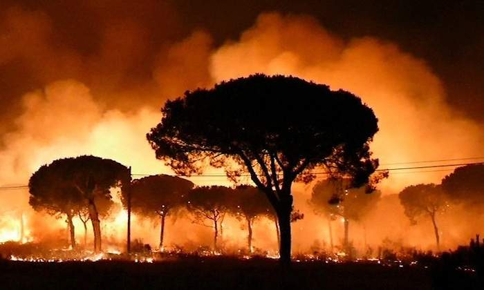 incendio-moguer-efe.jpg