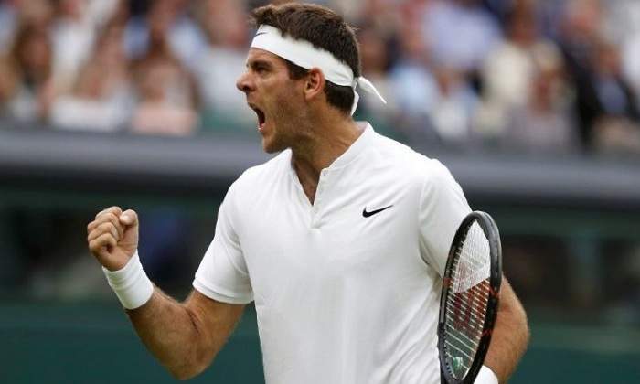 DelPotro770.jpg