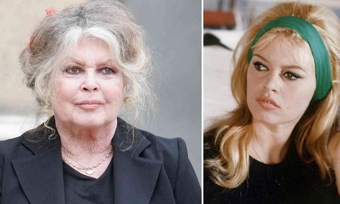 brigitte-bardon-suicidio-770.jpg