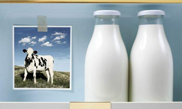 leche-botella-vaca-770.jpg