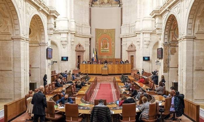 sesion-del-pleno-Andalucia.jpg