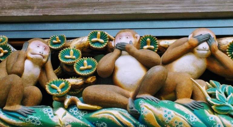 Monos del Santuario de Nikko, Japón.