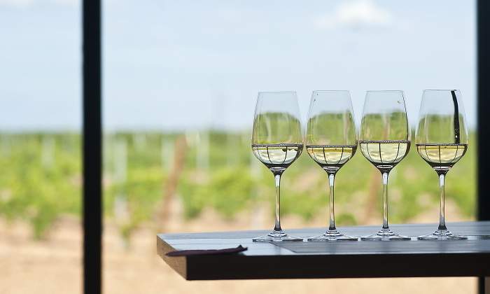 770x420-vino-blanco-sector-coronavirus.jpg