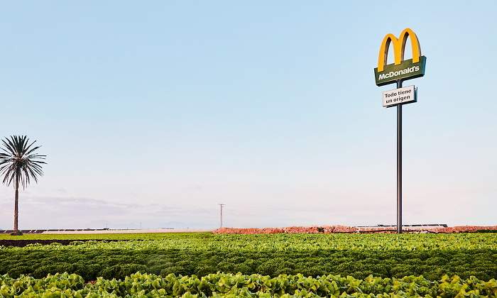 McDonalds Totem